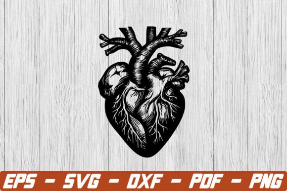 Anatomical Heart SVG for Crafts and Graphics